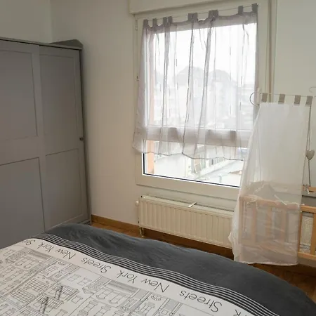 Family Nest 5 Min From Basel Self Check-in * Saint-Louis (Haut-Rhin)